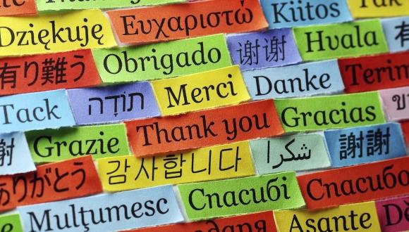 המרכז למצוינות בכישורי שפה מרחיב את פעילותו