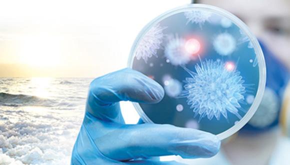 כנס לציון יום הננו-סרטן העולמי