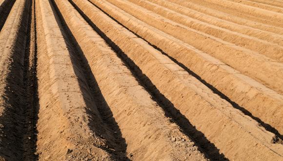 תועלת תעלות האשלגן לתפקוד המוח תועלת תעלות האשלגן לתפקוד המוח