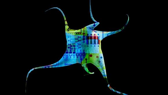 יום עיון: Medical Nanosystems: New Solutions to Stubborn Challenges יום עיון: Medical Nanosystems: New Solutions to Stubborn Challenges