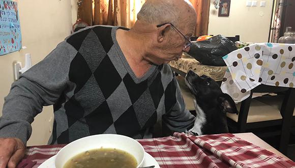 צילום: נועה טולדנו