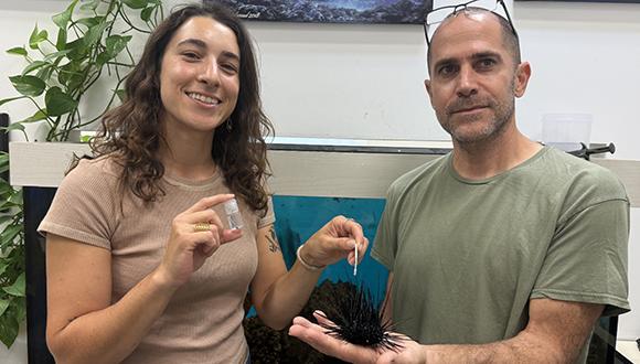 ד"ר עמרי ברונשטיין והדוקטורנטית ליסה שמידט עם קיפוד ים שעבר בדיקה גנטית ד"ר עמרי ברונשטיין והדוקטורנטית ליסה שמידט עם קיפוד ים שעבר בדיקה גנטית