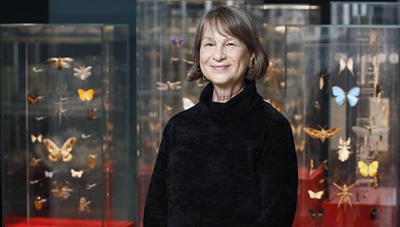 פרופ' תמר דיין (צילום: יעל צור)