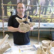 פרופ' רן ברקאי מחזיק חוליה של פיל קדום באתר לה פולדררה, איטליה פרופ' רן ברקאי מחזיק חוליה של פיל קדום באתר לה פולדררה, איטליה