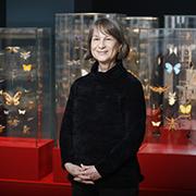 פרופ' תמר דיין (צילום: יעל צור) פרופ' תמר דיין (צילום: יעל צור)